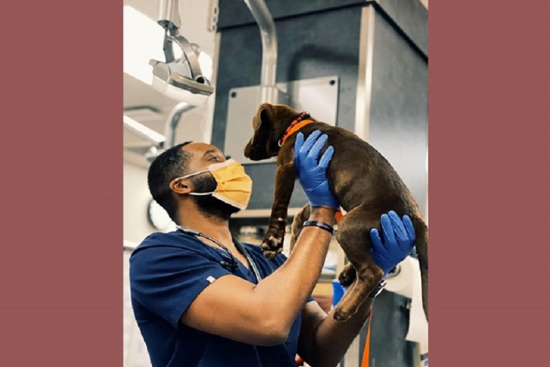 Black Veterinarian with Dog_Image